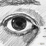 L'affiche de l'exposition de l'artiste Murzo